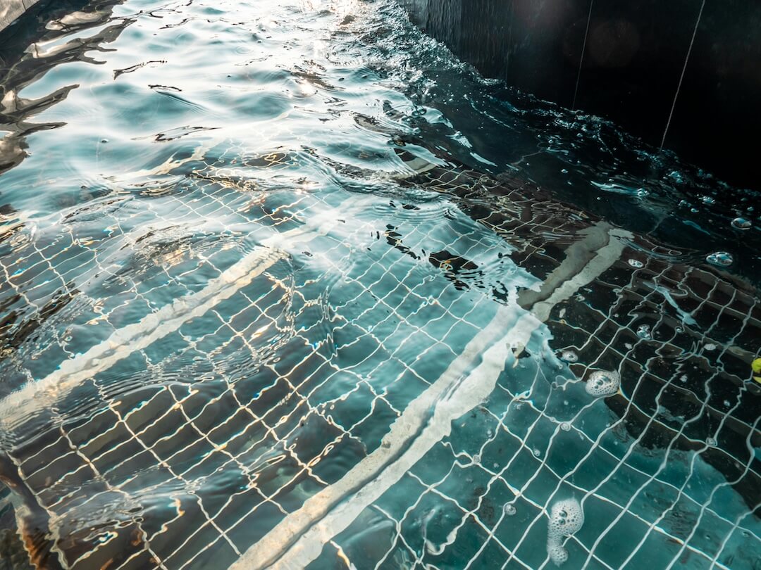 About Margate Pool Cleaning