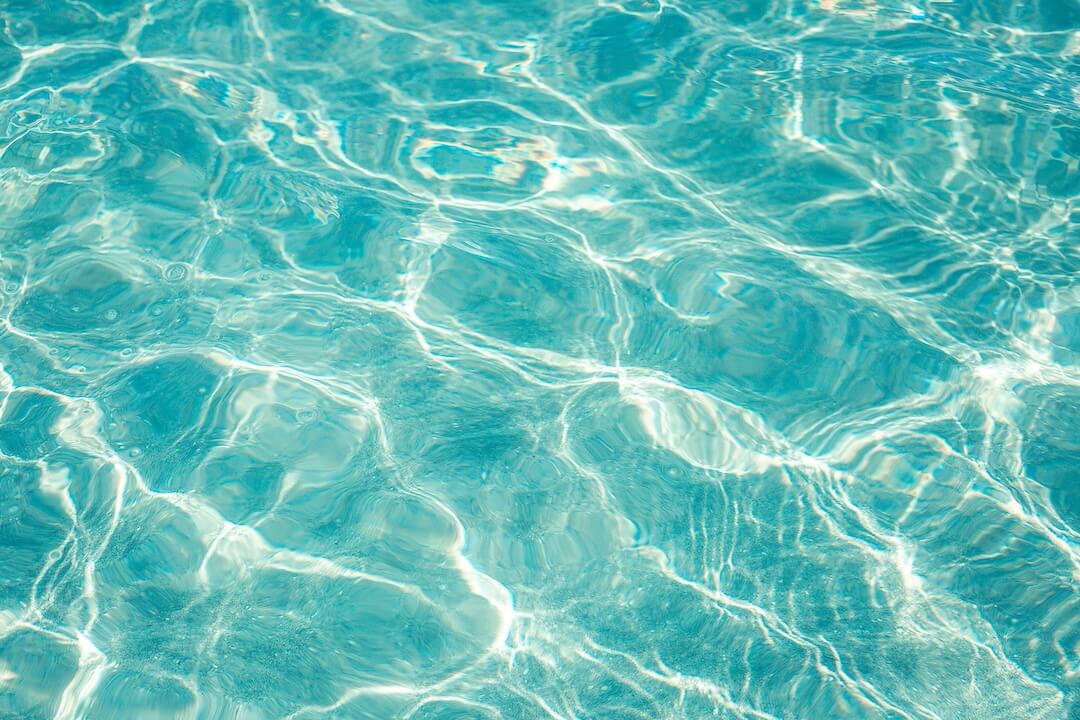 Maintaining Water Balance in Florida's Climate Image